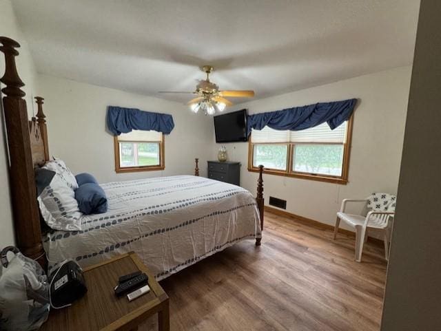137 20th Ave S, Saint Cloud, MN 56301 - bedroom with multiple windows, wood finished floors, and ceiling fan