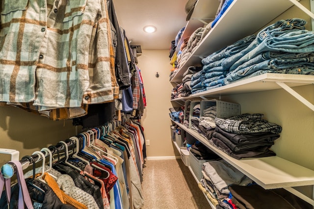 329 Kelliher Rd SW, Kelliher, MN 56650 - walk in closet featuring carpet floors