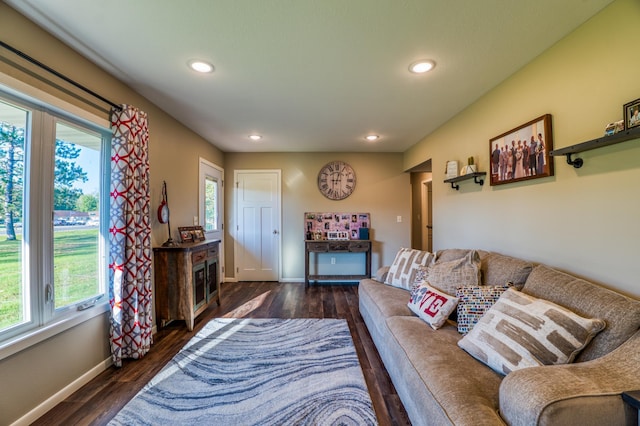 329 Kelliher Rd SW, Kelliher, MN 56650 - living area featuring recessed lighting and dark wood-type flooring