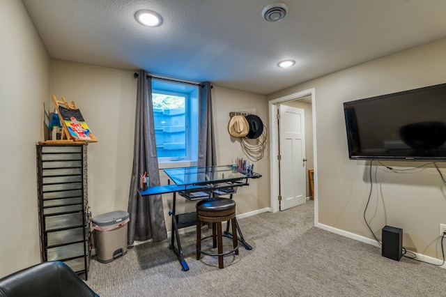 329 Kelliher Rd SW, Kelliher, MN 56650 - recreation room with carpet and a textured ceiling
