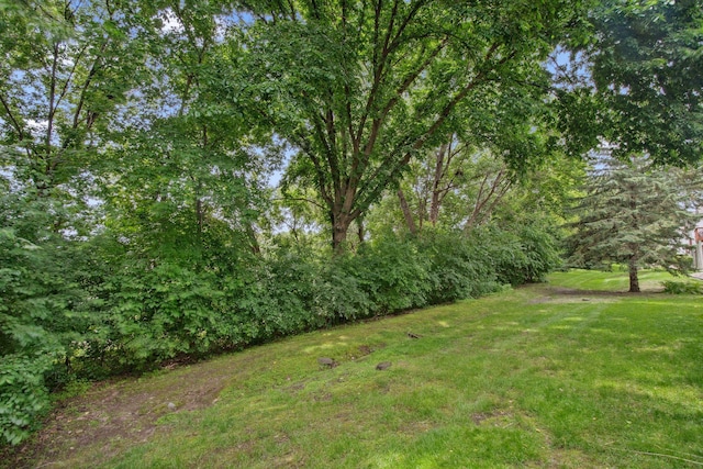 14208 Heritage Ln, Apple Valley, MN 55124 - view of green lawn