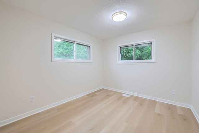 12258 Crooked Lake Blvd NW, Coon Rapids, MN 55433 - empty room with light wood-type flooring and a textured ceiling