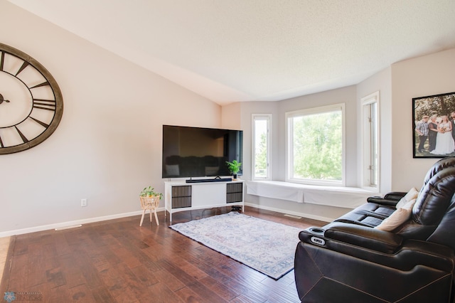 1083 Parkway Ln, West Fargo, ND 58078 - living room featuring wood finished floors and vaulted ceiling