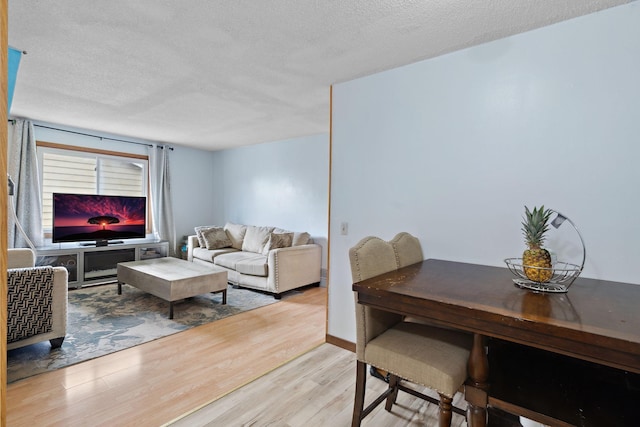 4421 Cinnamon Ridge Cir, Eagan, MN 55122 - living room featuring light wood-type flooring and a textured ceiling