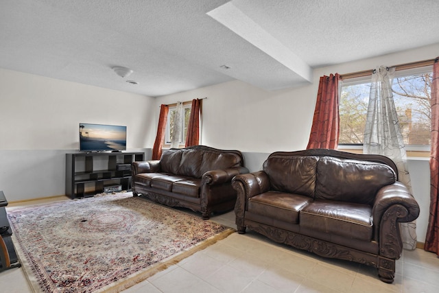 4421 Cinnamon Ridge Cir, Eagan, MN 55122 - living area featuring a textured ceiling and healthy amount of natural light
