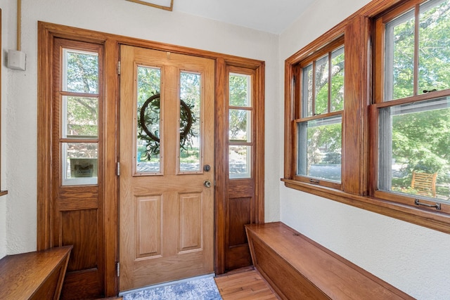 123 Franklin Ave, Owatonna, MN 55060 - foyer featuring a textured wall and light wood-type flooring