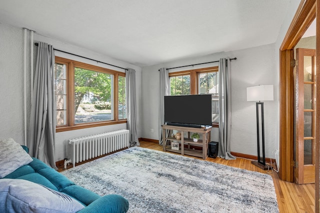 123 Franklin Ave, Owatonna, MN 55060 - living area featuring radiator, wood finished floors, and a textured wall