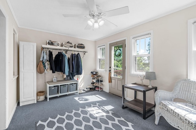 123 Franklin Ave, Owatonna, MN 55060 - mudroom featuring crown molding, ceiling fan, and carpet flooring