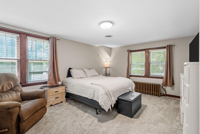 123 Franklin Ave, Owatonna, MN 55060 - bedroom featuring radiator heating unit and light colored carpet
