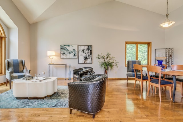 201 75th Ave N, Brooklyn Park, MN 55444 - living room with light wood-style floors and high vaulted ceiling