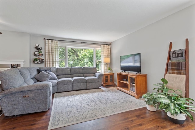 23481 Fontana St NE, Linwood Twp, MN 55079 - living area featuring wood finished floors