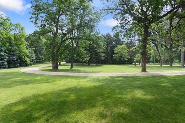 23481 Fontana St NE, Linwood Twp, MN 55079 - view of home's community with a yard