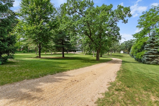 23481 Fontana St NE, Linwood Twp, MN 55079 - surrounding community featuring a yard