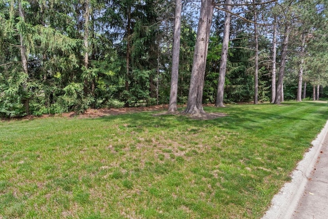 23481 Fontana St NE, Linwood Twp, MN 55079 - view of grassy yard