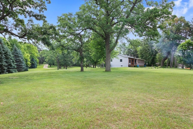 23481 Fontana St NE, Linwood Twp, MN 55079 - view of grassy yard featuring view of wooded area