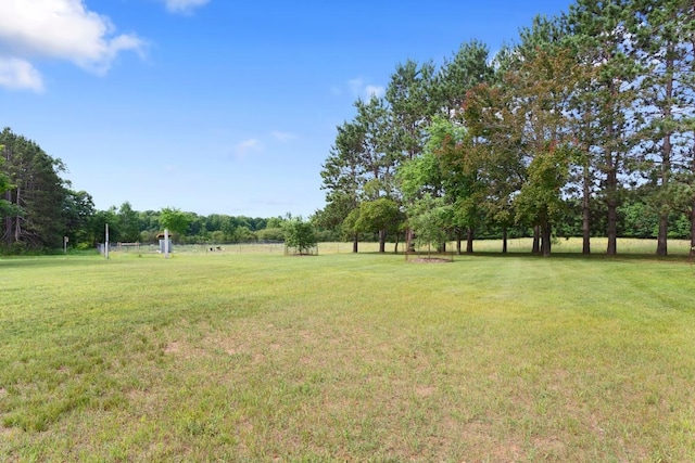 23481 Fontana St NE, Linwood Twp, MN 55079 - view of grassy yard