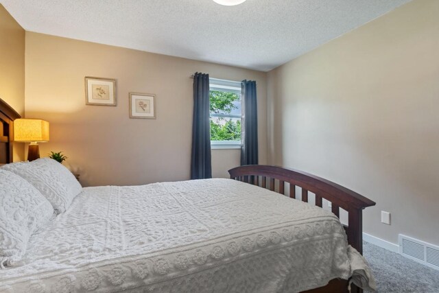 23481 Fontana St NE, Linwood Twp, MN 55079 - bedroom featuring carpet and a textured ceiling