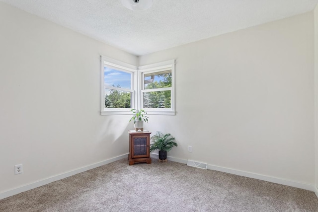 23481 Fontana St NE, Linwood Twp, MN 55079 - spare room featuring carpet floors and a textured ceiling