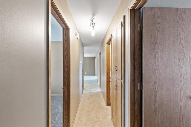4982 148th Path W, Apple Valley, MN 55124 - hall featuring light carpet