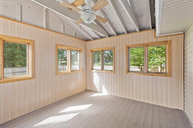 4982 148th Path W, Apple Valley, MN 55124 - view of unfurnished sunroom