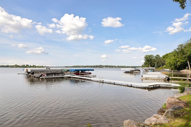 5246 Division Ave, White Bear Twp, MN 55110 - photo 51