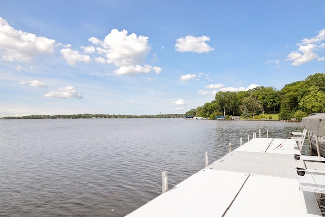 5246 Division Ave, White Bear Twp, MN 55110 - photo 53