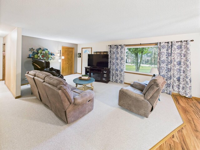 44534 Brick Yard Rd, Sauk Centre, MN 56378 - photo 12