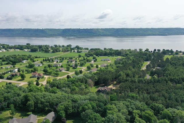 35853 Whispering Pine Way, Florence Twp, MN 55041 - bird's eye view of a nearby body of water and a forest