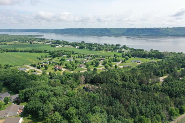 35853 Whispering Pine Way, Florence Twp, MN 55041 - bird's eye view of a large body of water