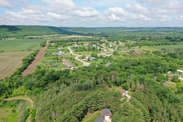 35853 Whispering Pine Way, Florence Twp, MN 55041 - aerial view of a forest