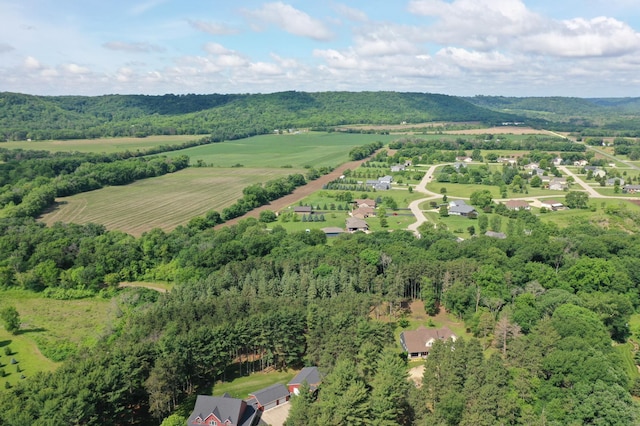 35853 Whispering Pine Way, Florence Twp, MN 55041 - aerial view of property's location with a heavily wooded area and rural landscape