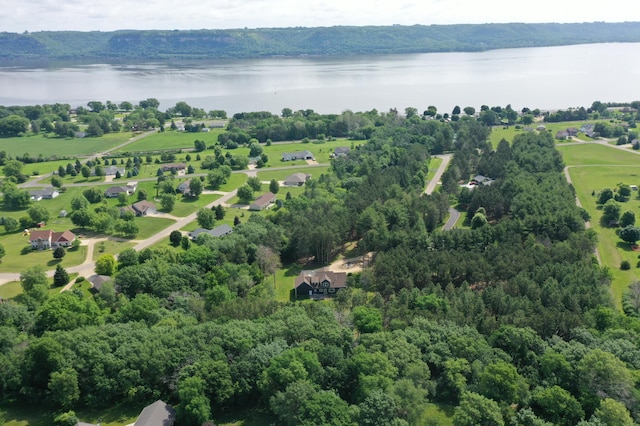 35853 Whispering Pine Way, Florence Twp, MN 55041 - drone / aerial view of a nearby body of water