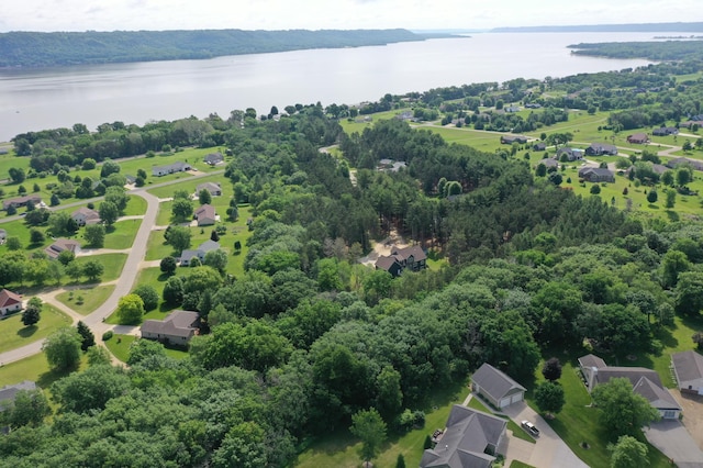35853 Whispering Pine Way, Florence Twp, MN 55041 - bird's eye view of a nearby body of water