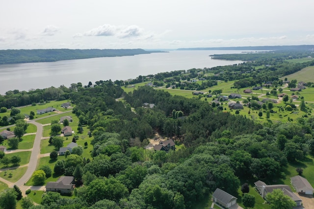 35853 Whispering Pine Way, Florence Twp, MN 55041 - bird's eye view of a large body of water