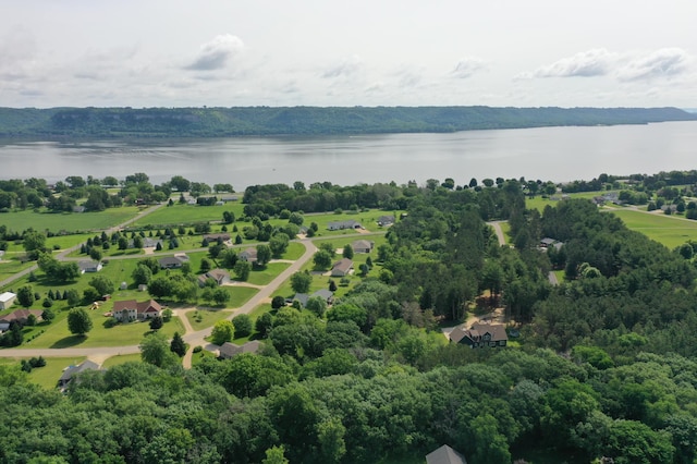 35853 Whispering Pine Way, Florence Twp, MN 55041 - drone / aerial view of a large body of water