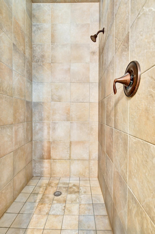 35853 Whispering Pine Way, Florence Twp, MN 55041 - bathroom with tiled shower