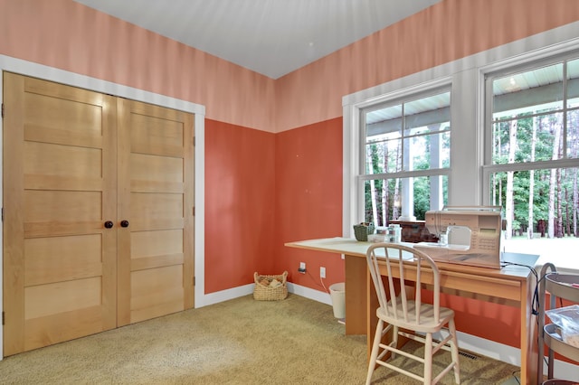 35853 Whispering Pine Way, Florence Twp, MN 55041 - office area featuring carpet flooring and baseboards