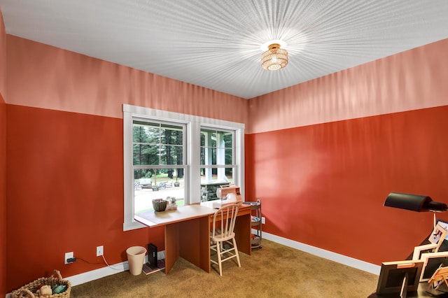 35853 Whispering Pine Way, Florence Twp, MN 55041 - office featuring carpet