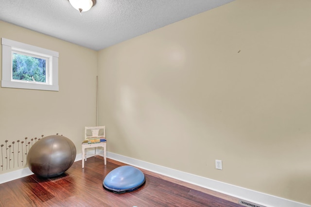 35853 Whispering Pine Way, Florence Twp, MN 55041 - workout room featuring wood finished floors and a textured ceiling