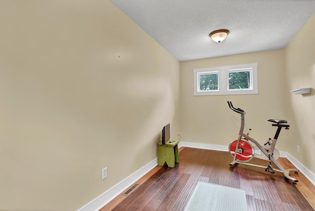 35853 Whispering Pine Way, Florence Twp, MN 55041 - exercise room with wood finished floors and a textured ceiling
