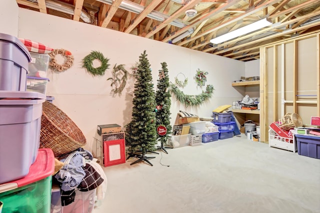 35853 Whispering Pine Way, Florence Twp, MN 55041 - view of storage