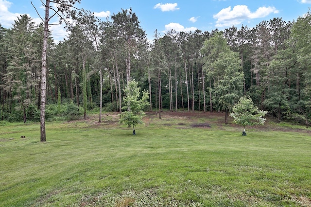 35853 Whispering Pine Way, Florence Twp, MN 55041 - view of green lawn with a view of trees