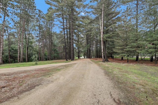 35853 Whispering Pine Way, Florence Twp, MN 55041 - view of road featuring a wooded view