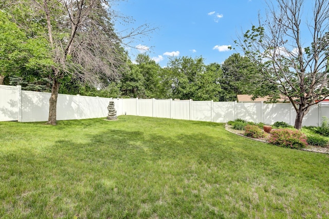 308 Iowa St, Lake City, MN 55041 - view of fenced backyard