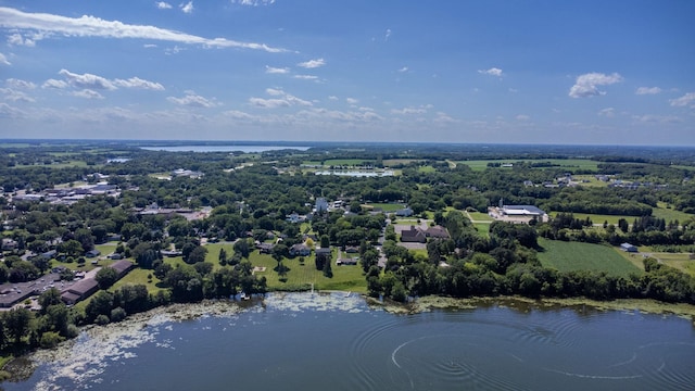 830 Willis St, Dassel, MN 55325 - aerial view of a nearby body of water
