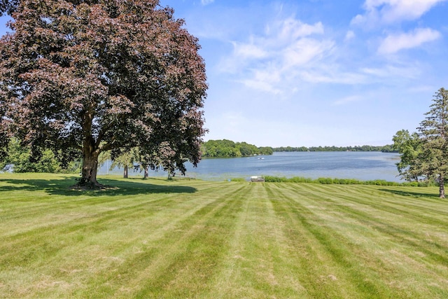 830 Willis St, Dassel, MN 55325 - view of green lawn with a water view