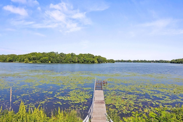 830 Willis St, Dassel, MN 55325 - dock area featuring a water view