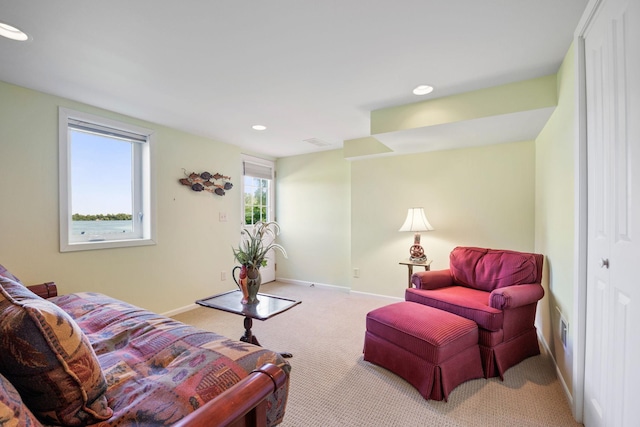 830 Willis St, Dassel, MN 55325 - living area with light colored carpet and recessed lighting