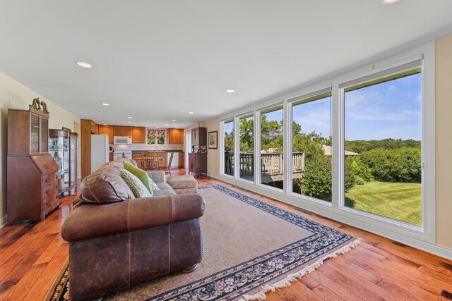 830 Willis St, Dassel, MN 55325 - living area featuring light wood-style floors and recessed lighting