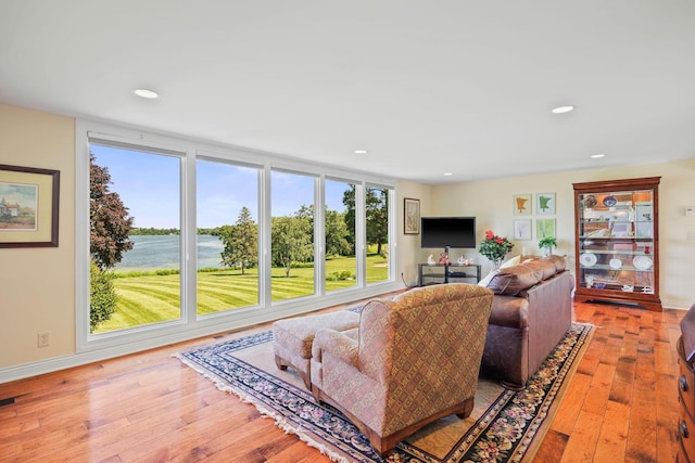 830 Willis St, Dassel, MN 55325 - living room with healthy amount of natural light, recessed lighting, and hardwood / wood-style floors